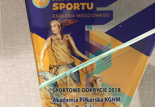 Przed nami kolejny Plebiscyt Sportowy Zagłębia Miedziowego