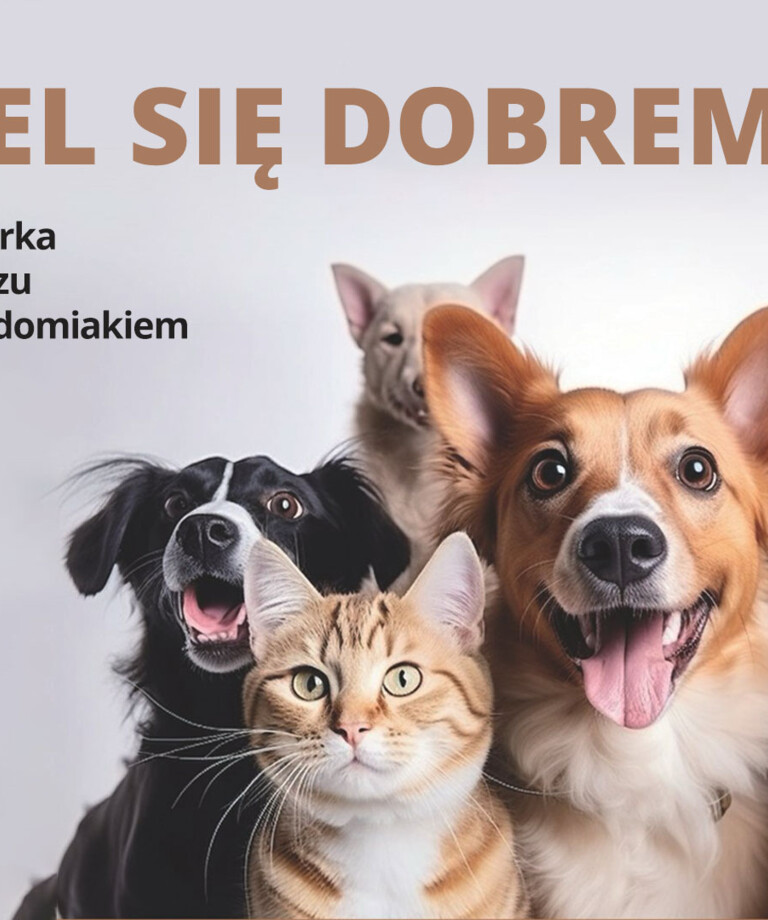 Podziel się dobrem | Weprzyj zbiórkę dla zwierząt podczas meczu z Radomiakiem Podziel się dobrem | Weprzyj zbiórkę dla zwierząt podczas meczu z Radomiakiem