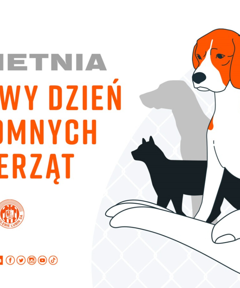 Światowy Dzień Bezdomnych Zwierząt