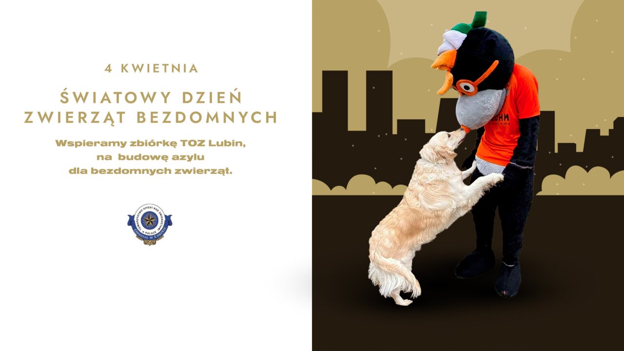 Światowy Dzień Bezdomnych Zwierząt Światowy Dzień Bezdomnych Zwierząt