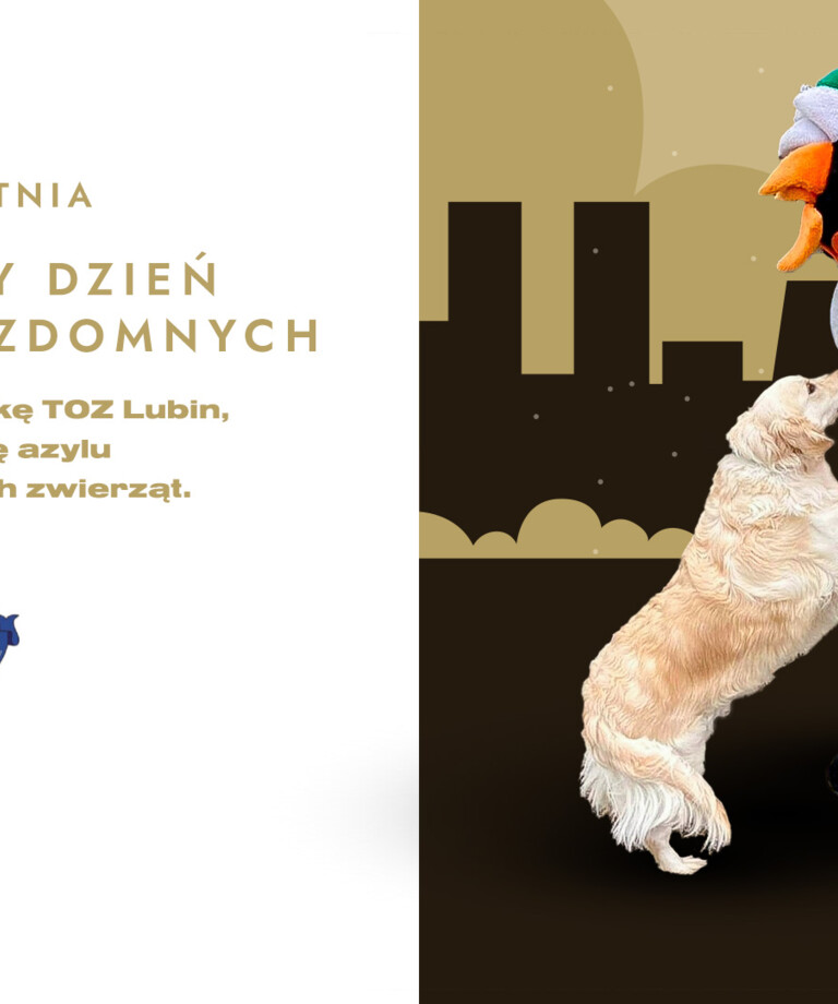 Światowy Dzień Bezdomnych Zwierząt Światowy Dzień Bezdomnych Zwierząt