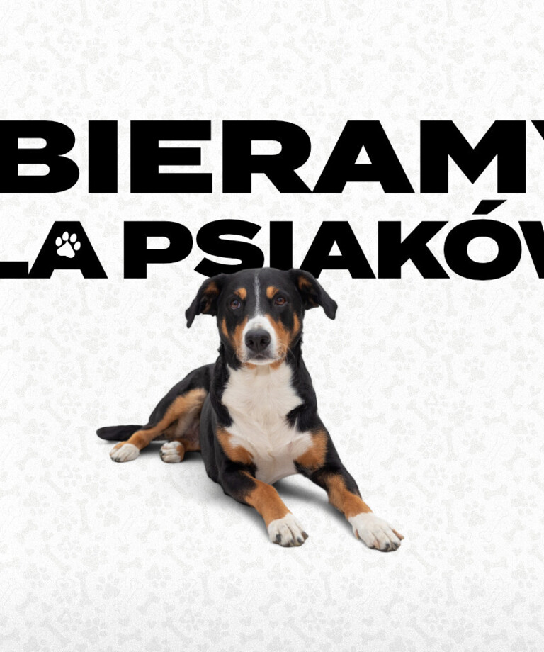 Wesprzyj zbiórkę dla psiaków podczas meczu z Górnikiem Zabrze Wesprzyj zbiórkę dla psiaków podczas meczu z Górnikiem Zabrze