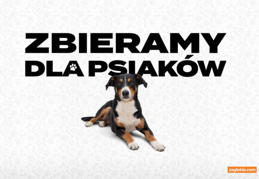 Wesprzyj zbiórkę dla psiaków podczas meczu z Górnikiem Zabrze