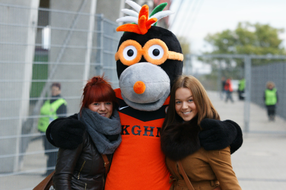 2013.11 2013.11