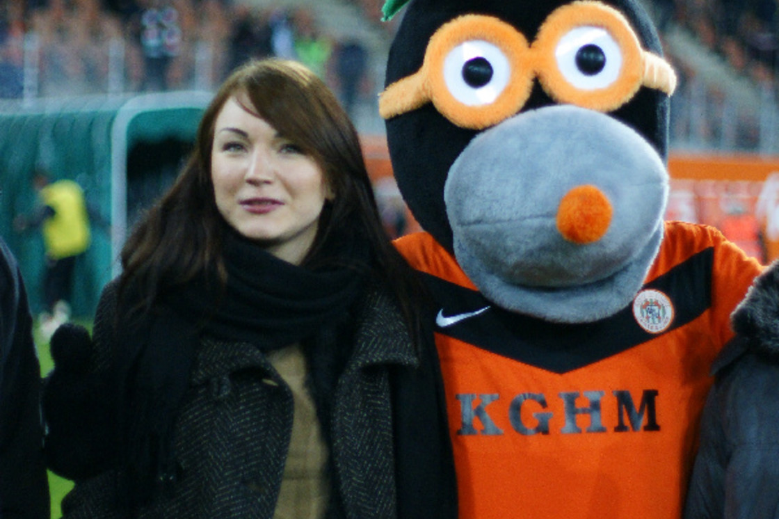 2013.11 2013.11