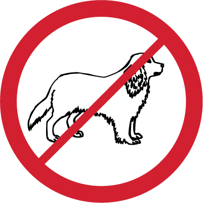 Zwierzęta Zwierzęta